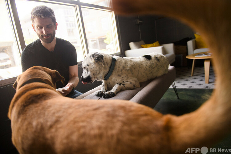 米コロラド州ボールダーの「ボンド・ペット・フーズ」で、ニワトリのDNAから作ったタンパク質のサンプルを飼い犬に与える共同創業者で最高経営責任者（CEO）のリッチ・ケルマン氏（2021年7月1日撮影）。(c)Patrick T. FALLON / AFP