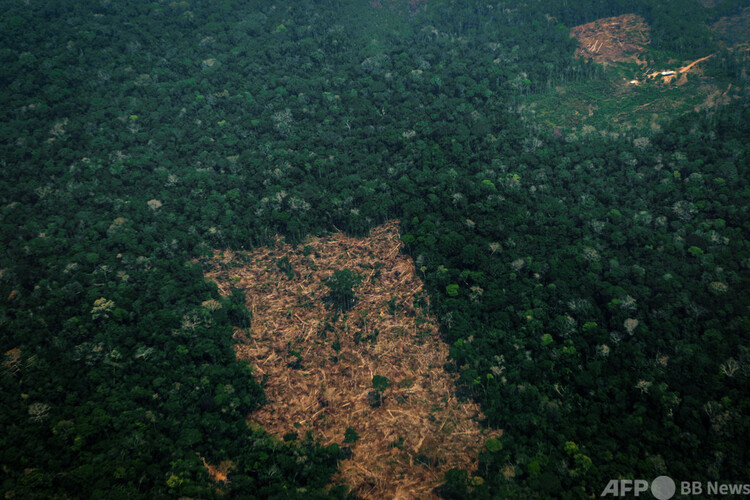 ブラジル北西部アマゾナス州ボカドアクレ付近で、森林破壊が進むアマゾン熱帯雨林（2019年8月24日撮影）。(c)LULA SAMPAIO : AFP