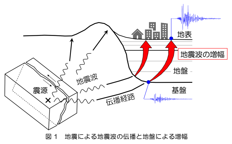 地震による地震波の伝播と、地盤における増幅について（提供：広島大学 三浦研究室）