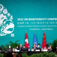COP15、生物多様性の回復目指す歴史的な目標を採択