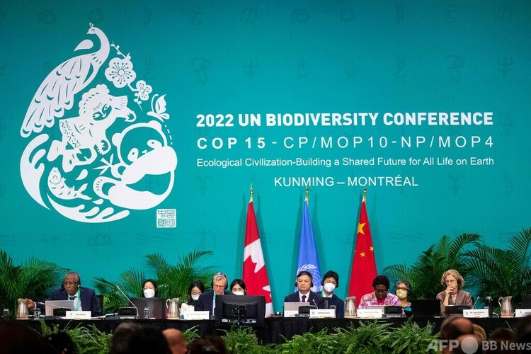 カナダ・モントリオールで開かれた国連生物多様性条約第15回締約国会議（COP15）の様子（2022年12月19日撮影）。(c)Lars Hagberg : AFP