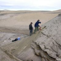 DNA発見、200万年前の生態系ひもとく グリーンランド