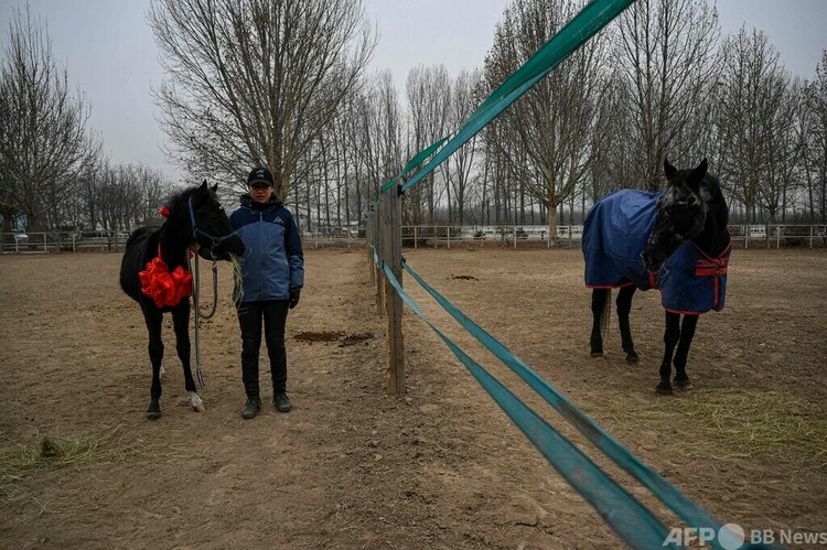 中国・希諾谷によるクローン馬「壮壮」（左）と、「壮壮」を産んだ代理母の馬（右）。北京の乗馬クラブで（2023年1月12日撮影）。(c)Jade GAO / AFP