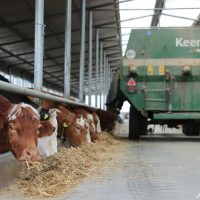 黒い大地に新型農業 中国吉林でデジタル牧牛