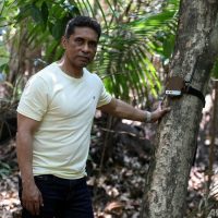 チェーンソーの音探知、アマゾンを伐採から守るAI ブラジル