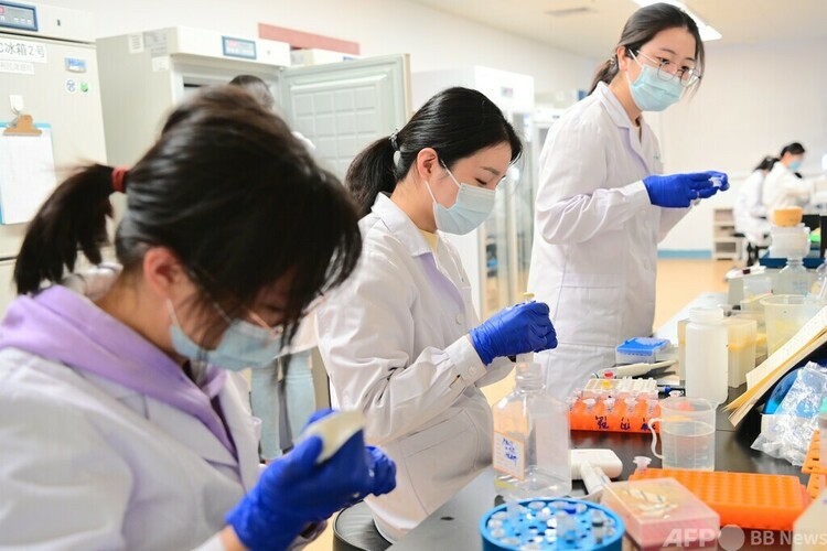 中国にある脳神経疾患研究室の研究者（2021年11月9日撮影、資料写真）。(c)CNS:陳驥旻
