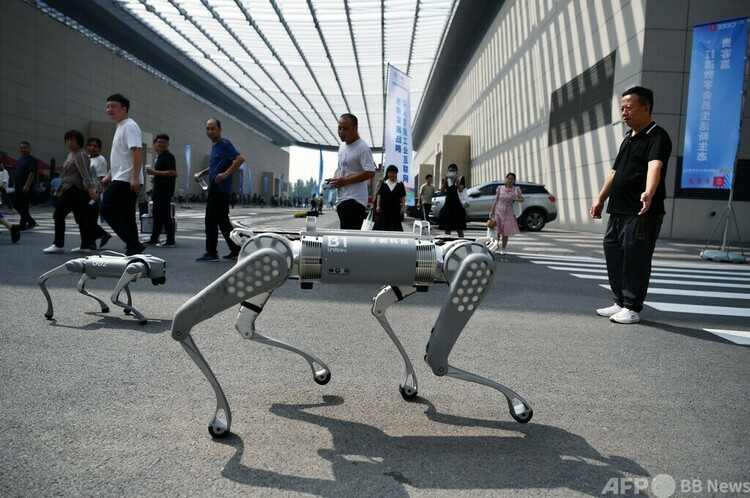 河北省石家庄市で開催された2023年中国国際デジタル経済博覧会の外で、人々の注目を集めながら「散歩」する2匹のインテリジェントロボット犬（2023年9月7日撮影）。(c)CNS/翟羽佳