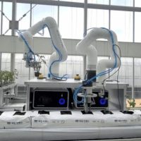 AIロボットが苗を植え替える　韓国で「スマートファーム定植ロボット」開発