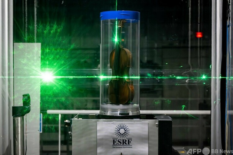 仏グルノーブルの欧州放射光施設（ESRF）で分析が進められているバイオリン「イル・カノーネ」（2024年3月11日撮影）。(c)JEAN-PHILIPPE KSIAZEK : AFP