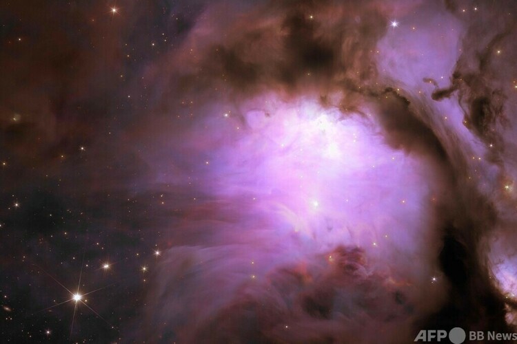 宇宙望遠鏡「ユークリッド」から届いた「M78星雲」の画像。ESA、国際チーム「ユークリッド・コンソーシアム」、NASA提供（2023年7月31日提供）。(c)Handout / ESA/Euclid/Euclid Consortium/NASA / AFP