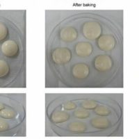 韓国の研究チーム、微生物で作った「卵」公開…食糧難解決の一助に