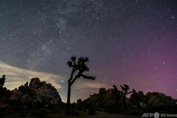 ペルセウス座流星群が極大を迎える中、オーロラで色づいた夜空。米カリフォルニア州のジョシュア・ツリー国立公園で（2024年8月12日撮影）。(c)Apu GOMES : AFP