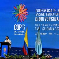 生物多様性COP16、コロンビア・カリで開幕