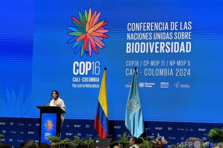 南米コロンビアのカリで始まった生物多様性条約締約国会議（COP16）の開会式に臨む、議長で同国環境相のスサナ・ムハマッド氏（2024年10月21日撮影）。(c)JOAQUIN SARMIENTO : AFP