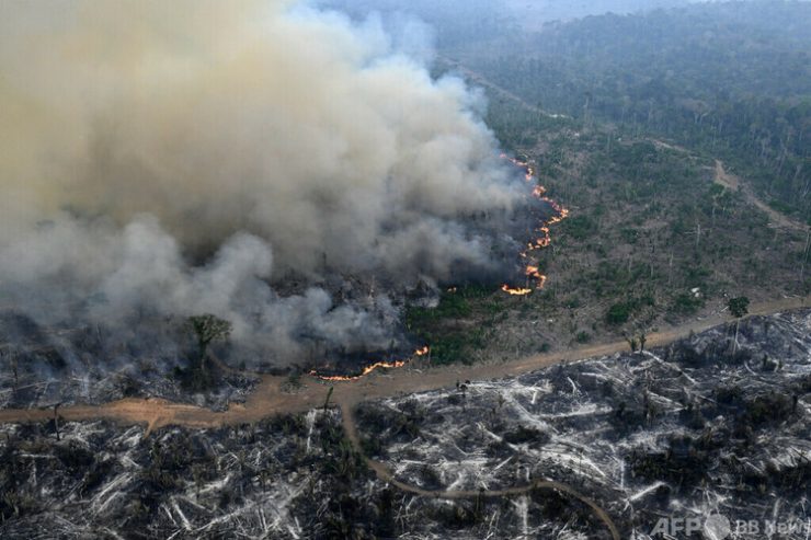 ブラジル・アマゾナス州で違法に行われている熱帯雨林での野焼き（2024年8月20日撮影、資料写真）。(c)EVARISTO SA : AFP