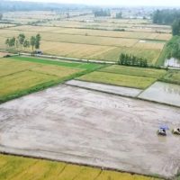 豊作を支える「スマート田植え」　中国湖北省襄陽市