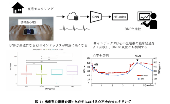 心電図データから算出される HF インデックスは、BNP 濃度（心不全の診断や重症度評価に用いられる血液検査の指標）と同様に、心不全モニタリングに有用である可能性が示唆された（画像提供：東京大学大学院医学系研究科）