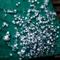 大腸菌を利用、プラスチックが鎮痛剤に 英研究