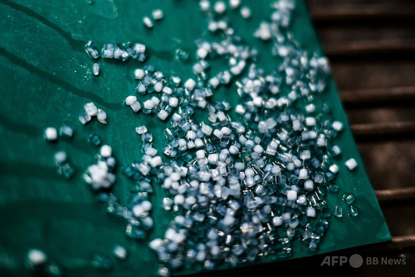 フランスのリサイクル工場で圧縮されるPETプラスチックのボトル（2023年6月1日撮影）。(c)JEFF PACHOUD/AFP フランスのリサイクル工場で撮影されたPETプラスチックのペレット（2023年6月1日撮影）。(c)JEFF PACHOUD/AFP2/2 フランスのリサイクル工場で撮影されたPETプラスチックのペレット（2023年6月1日撮影）。(c)JEFF PACHOUD/AFP