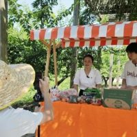 ライブコマースで農産品売上、来訪者ともに増える　デジタル技術で農村振興・中国湖北省