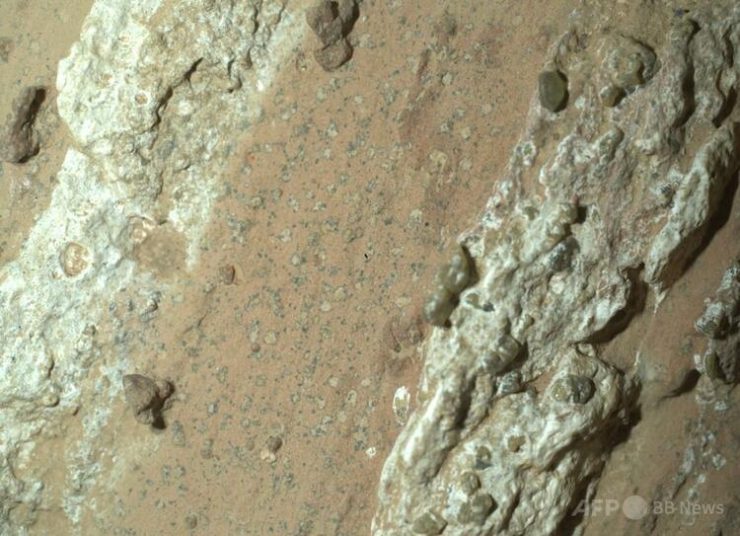 米航空宇宙局（NASA）の火星探査車「パーシビアランス」が試料を採取した岩石。NASAジェット推進研究所提供（2024年7月18日撮影、26日提供）。(c)AFP PHOTO / NASA/JPL-Caltech/MSSS