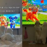 インスタグラム画面キャプチャ(c)NEWSIS