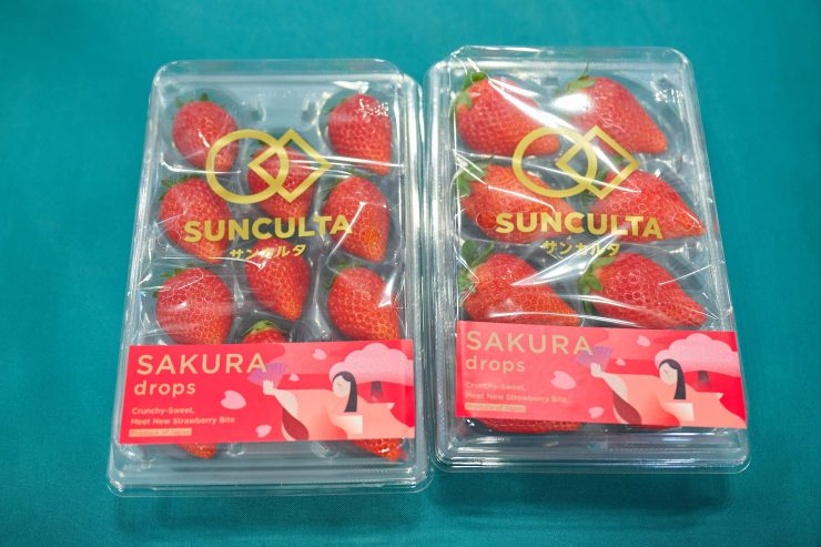 CULTAが開発した「CULTA-T3L(SAKURA DROPSⓇ)」