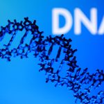 3DプリントされたDNAらせんモデルと「DNA」という文字が描かれているイラスト。2026年2月4日に撮影　 REUTERS/Dado Ruvic/Illustration