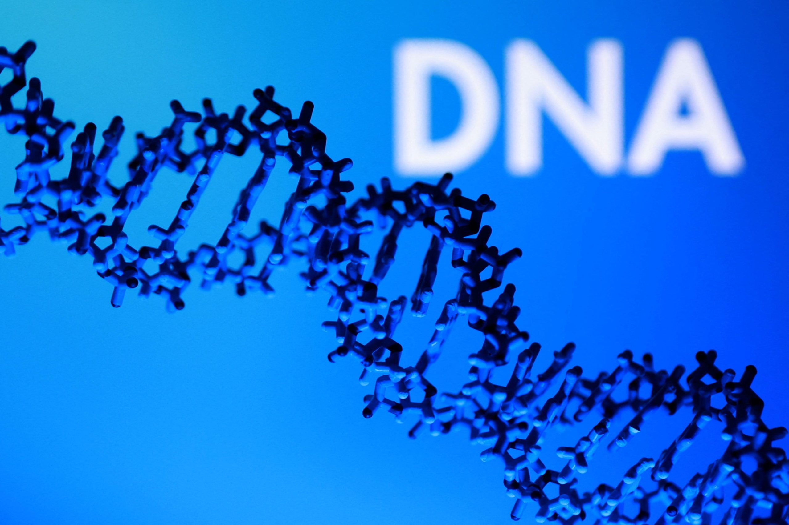 3DプリントされたDNAらせんモデルと「DNA」という文字が描かれているイラスト。2026年2月4日に撮影　 REUTERS/Dado Ruvic/Illustration