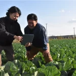 株式会社ミライ菜園が開発・提供する病害虫予測アプリ「TENRYO」を使う様子（以下、全ての画像提供：ミライ菜園）