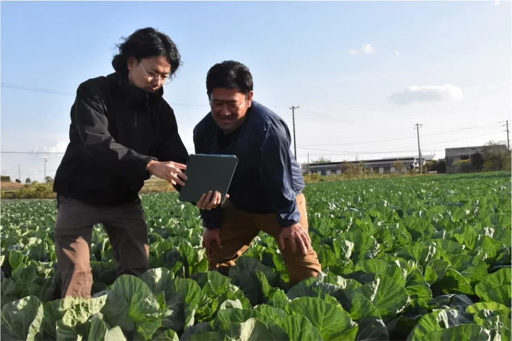 株式会社ミライ菜園が開発・提供する病害虫予測アプリ「TENRYO」を使う様子（以下、全ての画像提供：ミライ菜園）
