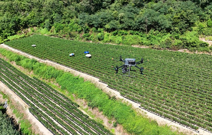 A drone view of a drone equipped with loudspeakers and thermal imaging camera flying over a chilli pepper field to check the temperature during a heat wave warning in Andong, South Korea, August 6, 2026.  REUTERS/Kim Hong-Ji