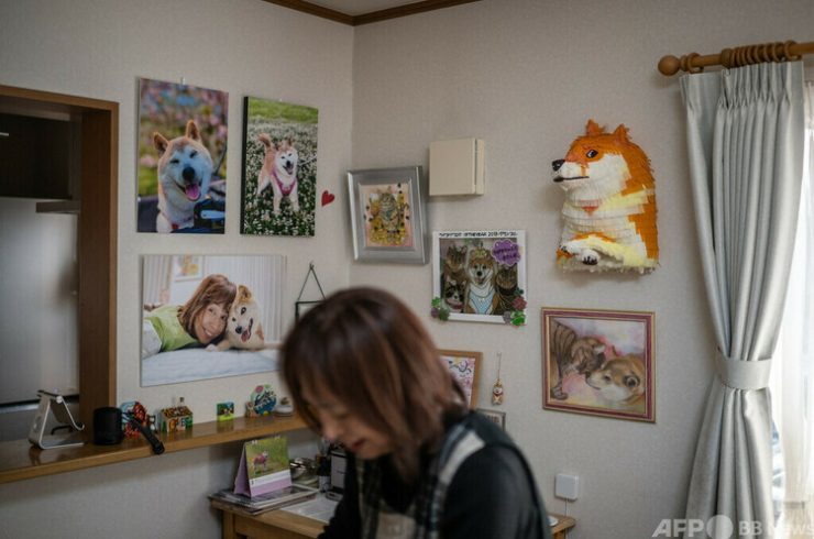 自宅にかぼすの写真やグッズを飾っている佐藤敦子さん（2024年3月19日撮影）。(c)Philip FONG / AFP