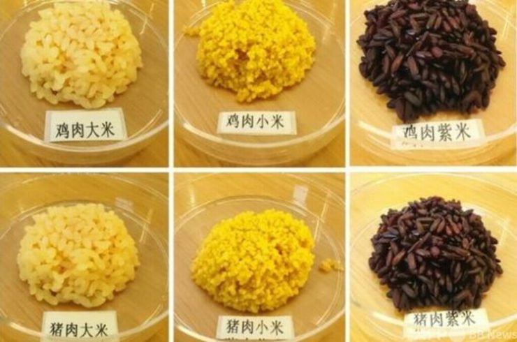 中国の研究チームが開発した細胞培養した肉と主食の穀物を合体させた食物「鶏肉米」と「豚肉米」（提供写真）。(c)CNS