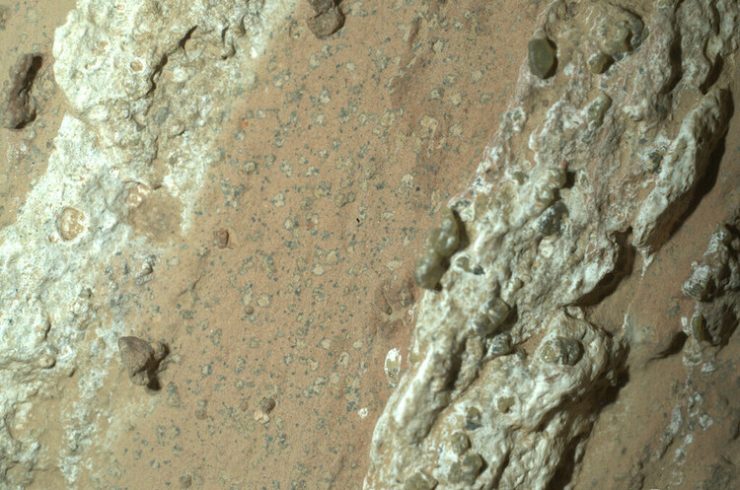 米航空宇宙局（NASA）の火星探査車「パーシビアランス」がジェゼロクレーターで見つけた「チェヤバ・フォールズ」と名付けられた岩石。NASAジェット推進研究所提供（2024年7月18日撮影、26日提供）。(c)AFP PHOTO / NASA/JPL-Caltech/MSSS