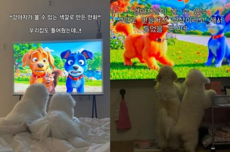 インスタグラム画面キャプチャ(c)NEWSIS